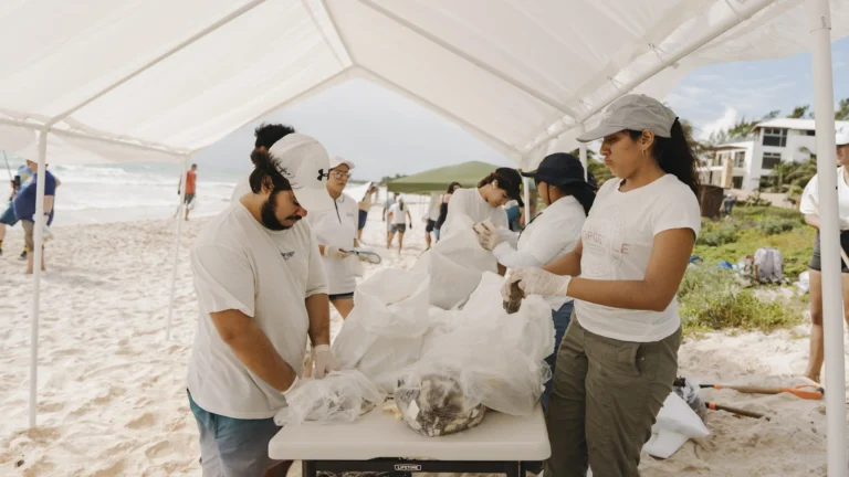 CTTS27_Experience-PL-9