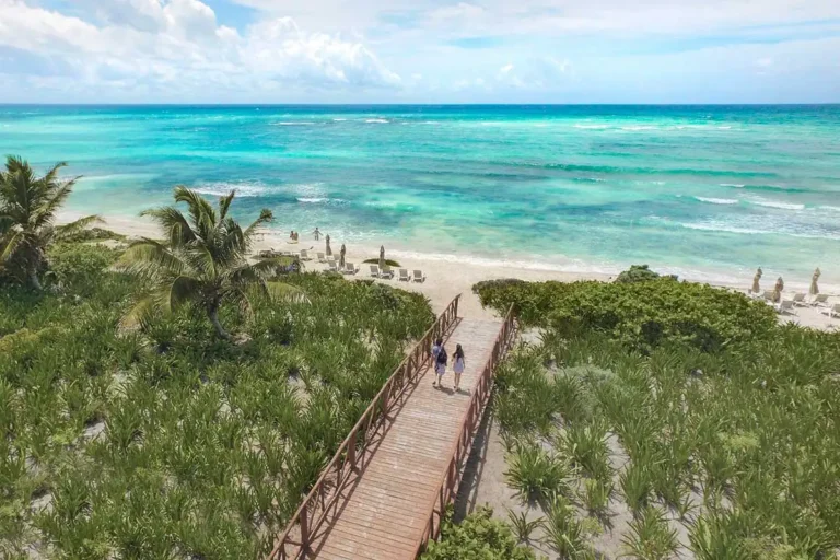 An aerial view of guests walking on a beach boardwalk with ocean in front of them.